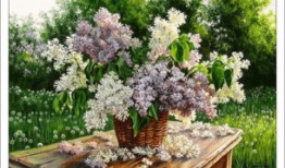 丁香 理论 在线观看,揭秘在线观看背后的心理学奥秘